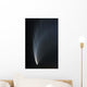 Comet McNaught P1 Wall Decal Design 1