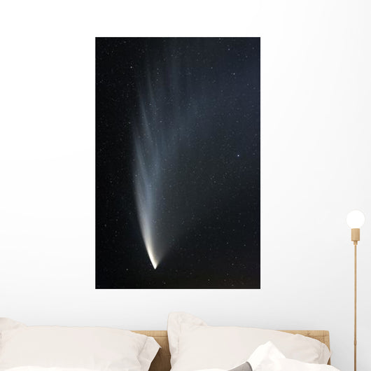 Comet McNaught P1 Wall Decal Design 1