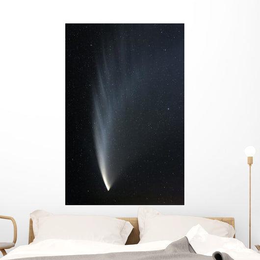 Comet McNaught P1 Wall Decal Design 1