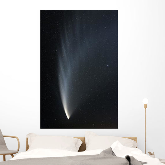 Comet McNaught P1 Wall Decal Design 1
