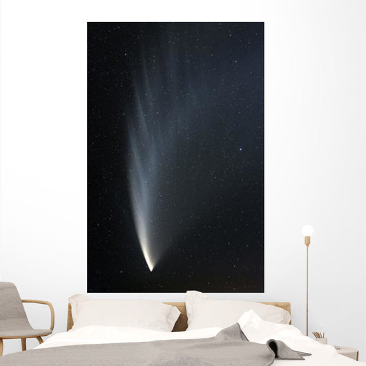 Comet McNaught P1 Wall Decal Design 1