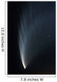 Comet McNaught P1 Wall Decal Design 1