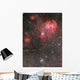 Bat Nebula Ic 2948 Wall Decal