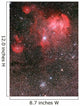 Bat Nebula Ic 2948 Wall Decal