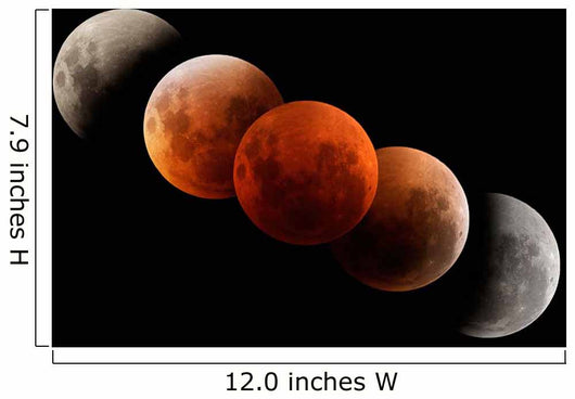Composite Image Lunar Eclipse Wall Decal
