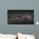 Southern Cross and Pointers Wall Decal