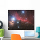 Horsehead Nebula and Flame Wall Decal
