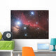 Horsehead Nebula and Flame Wall Decal