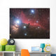 Horsehead Nebula and Flame Wall Decal