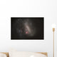 Large Magellenic Cloud Satellite Wall Decal
