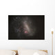 Large Magellenic Cloud Satellite Wall Decal