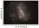 Large Magellenic Cloud Satellite Wall Decal