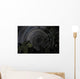 Southern Sky Star Trails Wall Decal Design 2