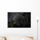 Southern Sky Star Trails Wall Decal Design 2