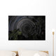 Southern Sky Star Trails Wall Decal Design 2
