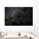 Southern Sky Star Trails Wall Decal Design 2
