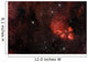 Cat's Paw Nebula Scorpius Wall Decal