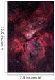 Eta Carinae Nebula Wall Decal