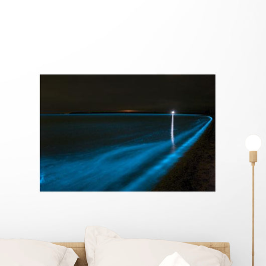 Bioluminescence Waves Gippsland Lakes Wall Decal
