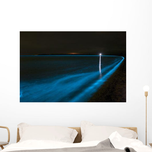 Bioluminescence Waves Gippsland Lakes Wall Decal