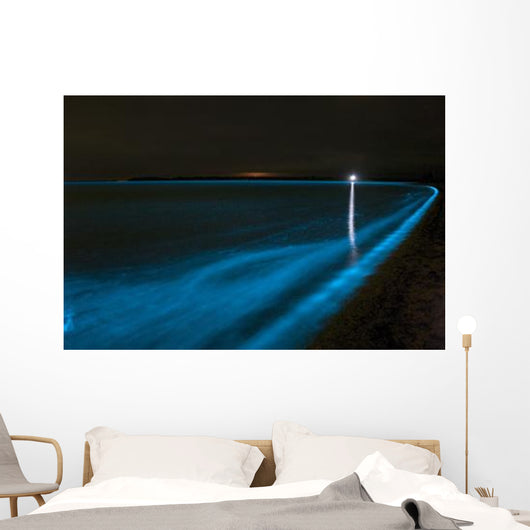 Bioluminescence Waves Gippsland Lakes Wall Decal