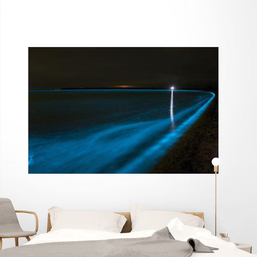 Bioluminescence Waves Gippsland Lakes Wall Decal