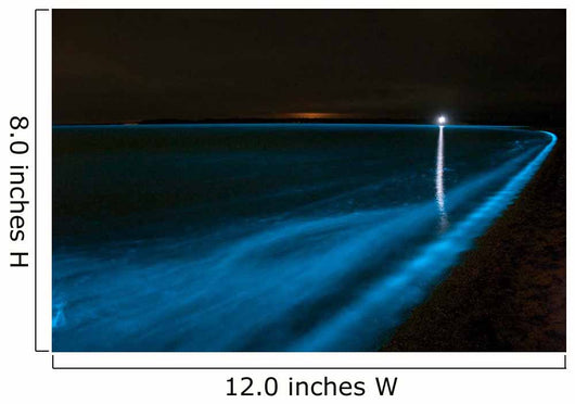 Bioluminescence Waves Gippsland Lakes Wall Decal
