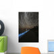 Star Trails over Bioluminescence Wall Decal