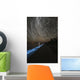 Star Trails over Bioluminescence Wall Decal