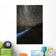 Star Trails over Bioluminescence Wall Decal