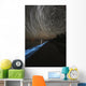 Star Trails over Bioluminescence Wall Decal