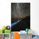 Star Trails over Bioluminescence Wall Decal