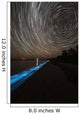Star Trails over Bioluminescence Wall Decal