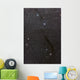 Dark Doodad Nebula Southern Wall Decal