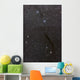 Dark Doodad Nebula Southern Wall Decal