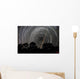 Southern Sky Star Trails Wall Decal Design 1