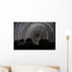 Southern Sky Star Trails Wall Decal Design 1