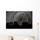 Southern Sky Star Trails Wall Decal Design 1