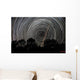 Southern Sky Star Trails Wall Decal Design 1