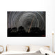 Southern Sky Star Trails Wall Decal Design 1