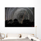 Southern Sky Star Trails Wall Decal Design 1