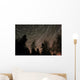 Star Trails over Trees Wall Decal