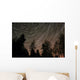 Star Trails over Trees Wall Decal