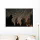 Star Trails over Trees Wall Decal