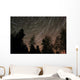 Star Trails over Trees Wall Decal