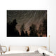 Star Trails over Trees Wall Decal