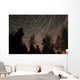 Star Trails over Trees Wall Decal
