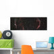 Veil Nebula Mosaic Wall Decal