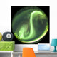 Fisheye Lens Bright Aurora Wall Decal