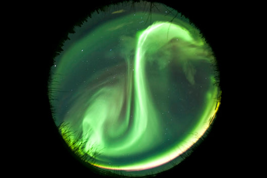 Fisheye Lens Bright Aurora Wall Decal